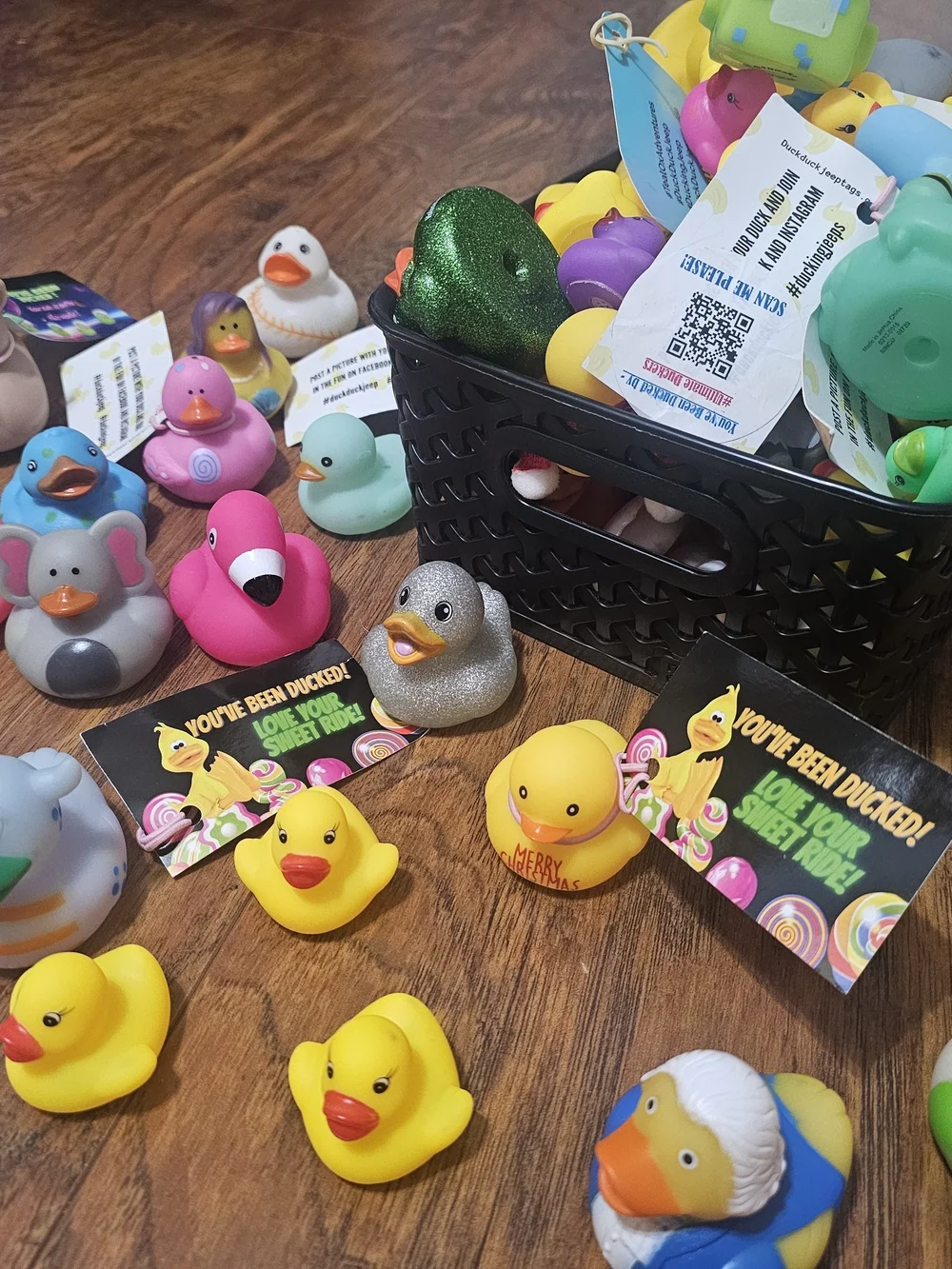 Assorted Jeeper Ducks! 🐤
